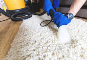 Carpet Cleaning Services